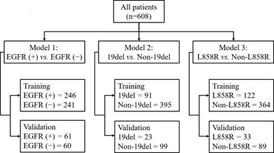 Using combined CT-clinical radiomics models to identify epidermal growth factor receptor mutation subtypes in lung adenocarcinoma